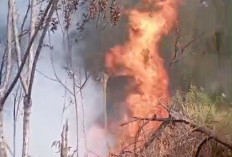 Karhutla Gunung Butak-Kawi Tembus 1.050 Hektare, Api Meluas hingga Kabupaten Blitar