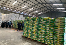 Diskopindag Jamin Stok Sembako Aman Jelang Idulfitri 2026, Gudang Distributor Disisir Cegah Penimbunan