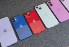 Rekomendasi iPhone Terbaik 2026: Dari iPhone 13 hingga iPhone 17, Mana Paling Worth It?