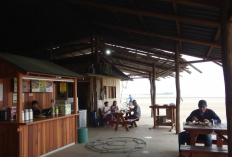Wisata Kuliner di Tepi Laut: Nikmatnya Kelapa Muda dan Ikan Bakar di Pantai Batu Bengkung