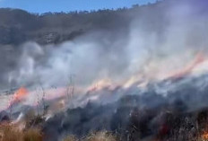Masuk Hari Kelima Bromo Terbakar 176 Hektare, Api Diduga Berawal dari Perapian di Jalur Tradisional