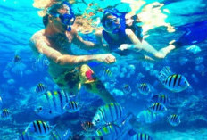 Pesona Pantai Tiga Warna Malang Berupa Gradasi Air Laut Eksotis hingga Surga Bawah Laut yang Terjaga