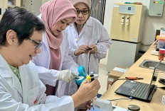 Alat Inovasi Peneliti UIN Syarif Hidayatullah dan UIN Maliki Malang Bisa Deteksi DNA Babi secara Cepat-Akurat