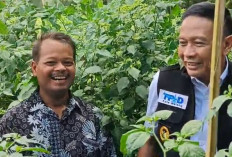 Jelang Idulfitri, Harga Cabai Tembus Rp100 Ribu per Kg, TPID Kota Malang Siapkan Langkah Intervensi