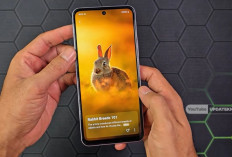 Mau HP vivo Murah tapi Tak Terasa Murahan? 10 Pilihan Ini Layak Dilirik