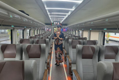 Sepanjang 2025, KA Gajayana Layani 173.985 Penumpang Relasi Malang–Jakarta