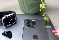 10 iPhone Terbaik 2026 yang Masih Worth Dibeli, Mulai iPhone SE 2022 hingga iPhone 16