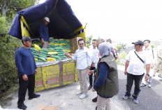 Kendalikan Inflasi Jelang Lebaran, Wali Kota Nurochman Tinjau Gerakan Pangan Murah di Bulukerto