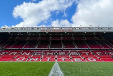 UNIK! Rumput Old Trafford Dijual dalam Kubus, Harganya Rp2,9 Juta