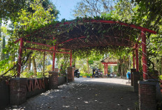 Taman Wilis, Tempat Ngadem Gratis di Kota Batu 