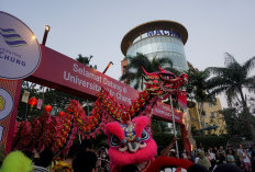 Universitas Ma Chung Gelar CHIFEST 2026: Perayaan Bersatunya Dua Budaya