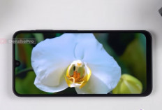 Samsung Galaxy A Series 2026 Bukan Sekadar HP Murah, 10 Model Ini Punya Kelas Berbeda