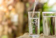 Air Mineral vs Air Demineral: Mengenal Perbedaan dan Pilihan Terbaik untuk Tubuh