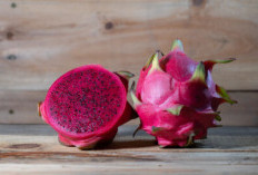 Inovasi Tepung Buah Naga Jadi Alternatif Sehat, Najwa Afifah Tuntaskan Studi di FIKES UB