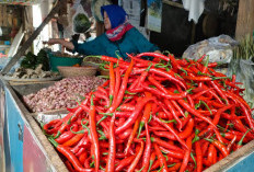 Harga Cabai Rawit di Pasar Klojen Malang Tembus Rp80 Ribu, Naik Rp20 Ribu dalam 3 Hari