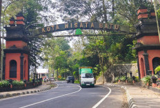Cara Mobil Melibas Tanjakan di Kota Batu Tanpa Khawatir Mogok