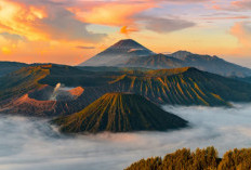 Hari Gunung Internasional 11 Desember: Sejarah, Tema 2025, dan Cara Merayakannya 