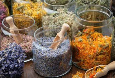 5 Rempah Termahal di Dunia: Saffron Bukan Satu-satunya!