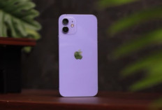 iPhone 12 2026 Masih Layak Dibeli? Harga Rp5 Jutaan, Sudah 5G Tapi Ada Banyak Catatan!