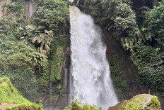 9 Rekomendasi Coban di Malang, Destinasi Wisata Alam yang Wajib Dikunjungi