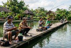 Rahasia Alat Pancing Awet: Tips Simpel Merawat Joran dan Senar agar Tak Gampang Patah dan Putus