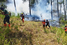 Kobaran Api Panderman Batu Padam, Sekat Bakar dan Pemadaman Manual Jadi Andalan