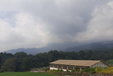 Cuaca Malang Raya Hari Ini Dominan Cerah Berawan, Bromo Dingin hingga 8°C, Gelombang Selatan 2,5 Meter