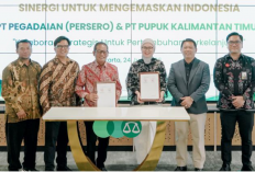 Pegadaian dan Pupuk Kaltim Jalin Kolaborasi Strategis demi Pertumbuhan Berkelanjutan