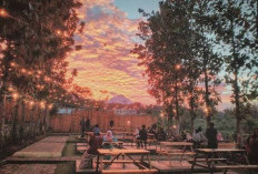 5 Cafe Bernuansa Alam di Malang, Ada Gartenhaus hingga Bukit Delight