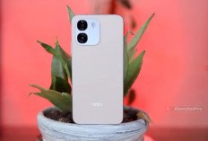 8 HP Oppo RAM 8/256 GB Murah Terbaik 2026, Harga Mulai Rp2 Jutaan dan Baterai Jumbo