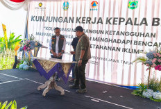 BNPB Resmikan Desa Tangguh Bencana Giripurno, Padukan Mitigasi Bencana dengan Kebun Alpukat 500 Hektare