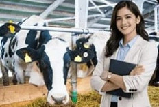 Dobrak Batas Tradisional, FAST UB Hadirkan Era 'Smart Farming' lewat Kecerdasan Buatan dan Drone