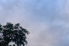 Cuaca Kota Malang Hari Ini 4 September: Sukun Udara Kabur, 4 Kecamatan Cerah