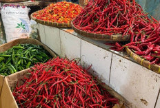 Harga Cabai Tak Terkendali, Pemkot Malang Buka Warung Tekan Inflasi Rp40 Ribu/Kg