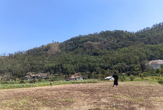 Akibat Angin Kencang, Operasional Paralayang di Gunung Bayak, Batu, Dihentikan Sementara