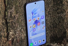 7 HP RAM 8/256 GB Harga Rp2 Jutaan Terbaik 2026, Baterai Jumbo dan Performa Kencang Jadi Andalan
