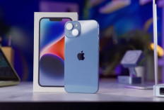 Harga iPhone 15 Turun Tajam pada 2026, Kini Jadi Pilihan Paling Seimbang Dibanding Seri Lain