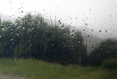 Cuaca Malang Raya 14 Februari:  Dominasi Hujan Ringan-Angin Aman, Perairan Malang Selatan Gelombang Tinggi 