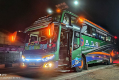 5 Kecelakaan Maut Bus ALS, Sopir Ugal-Ugalan hingga Rem Blong, Ini Dia Pemilik Bus ALS