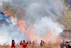 Kebakaran Bromo Meluas, 921 Hektare Lahan Terdampak dan 540 Personel Dikerahkan