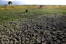 Waspada El Nino, BPBD Petakan 13 Desa Rawan Kekeringan di Kabupaten Malang