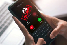 Laporkan WA Penipu ke Portal aduannomor.id! Begini Caranya, Langsung Diblokir Permanen!