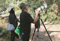 Birdwatching di Lereng Gunung Arjuna Jadi Cara PROFAUNA Cegah Perburuan Burung