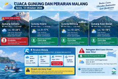 Semeru Erupsi Erupsi Dini Hari, Simak Cuaca Gunung Malang Hari Ini, Gelombang Selatan 2,9 Meter