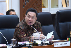 DPR Prediksi Anggaran MBG Tersisa Rp40 Triliun, Desak Pemerintah Segera Jalankan Putusan MK