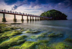 Pantai Jembatan Panjang Tanjung Sirap, Kian Mudah Dijangkau Pelancong yang Berangkat dari Pusat Kota
