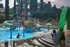 Liburan ke Kota Batu Bareng Anak? Terapkan 6 Tips Ini agar Si Kecil Tetap Happy dan Anti Rewel