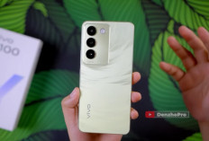 Cari HP Kamera Ultrawide Murah? Ini 8 Pilihan yang Menarik untuk Foto dan Video