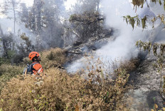 Kebakaran Gunung Butak Padam, 271 Pendaki Selamat, Luas Hutan Terbakar Capai 20 Hektare