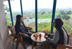 Padda Coffee, Tempat Ngopi Instagramable dengan View Pegunungan Kota Batu 